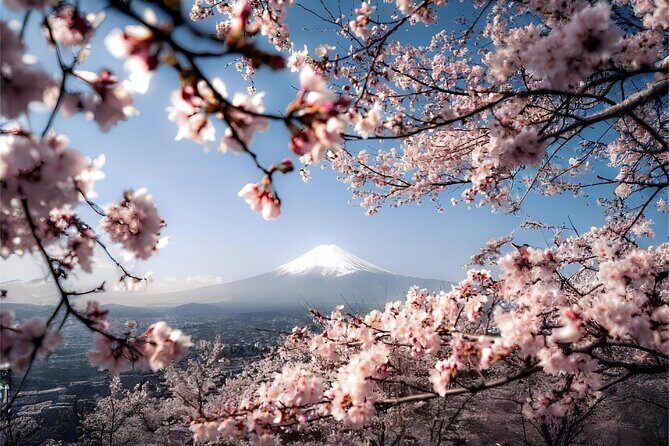 One day tour to Mount Fuji's popular attractions - Transportation, Timing, and Group Size