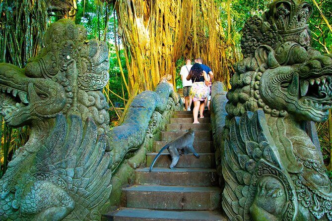 One Day Tour Ubud With Private Guide - Logistics and Practicalities