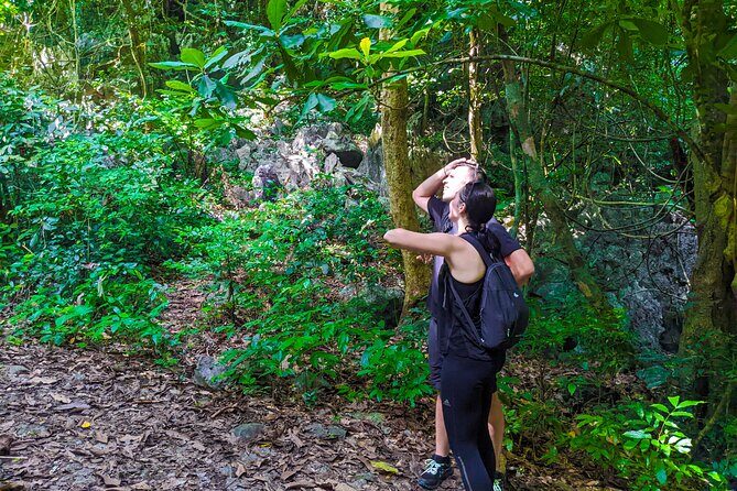 One Day Trekking Cat Ba National Park - Experience Overview