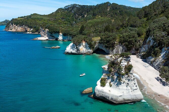 One Hour Cathedral Cove Boat Tour in Hahei - Who Should Consider This Tour?