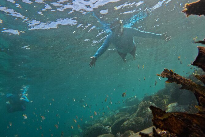 One on One Snorkel Experience - The Benefits of a Guided, Private Snorkel