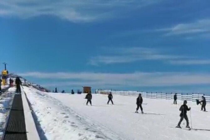 One way transfer to Remarkable or Coronet Peak Ski Fields - Practical Considerations