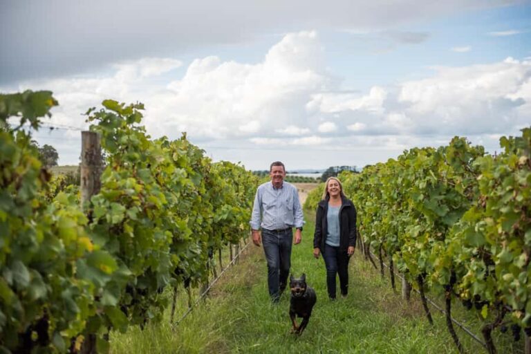 Orange NSW: 1 hour Wine Tasting at Ross Hill Wines - The Itinerary and What to Expect