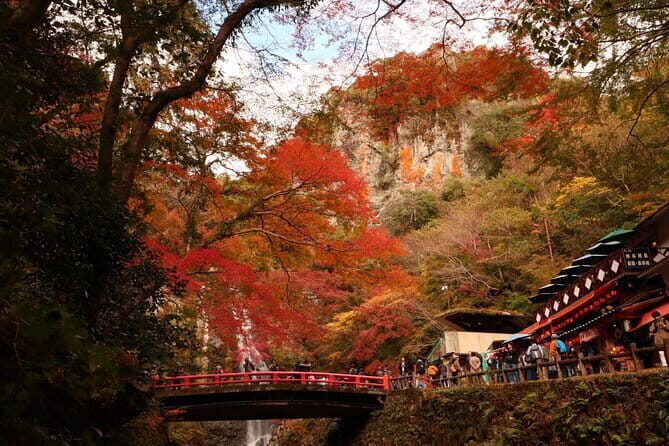 Osaka 8 Hours Tour Explore City and Minoh Falls - What’s Included and What to Consider