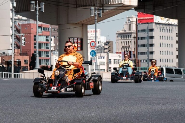 Osaka: Go Kart Tour on Osaka Streets with Guide - Who Is This Tour Best For?