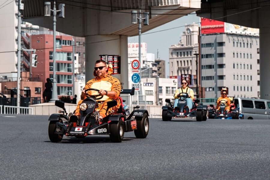 Osaka: Go Kart Tour on Osaka Streets with Guide - Who Is This Tour Best For?