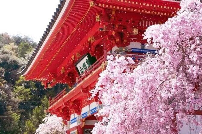 Osaka Katsuo-ji Temple Natural Attraction Ticket - Who Should Consider This Tour?