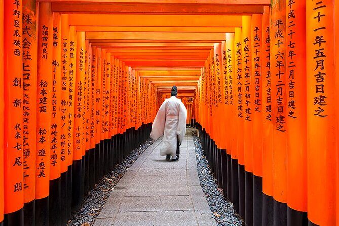 Osaka/Kyoto: Arashiyama, Fushimi Inari & Nara Park Day Trip - Who Will Enjoy This Tour?