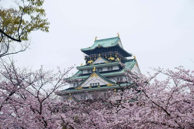 Osaka: Osaka Castle 3 hours Historical Walking Tour - What’s Included & What to Bring