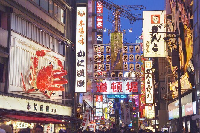 Osaka: Osaka Castle & Dotonbori Private Tour From Osaka Port - Transportation & Logistics