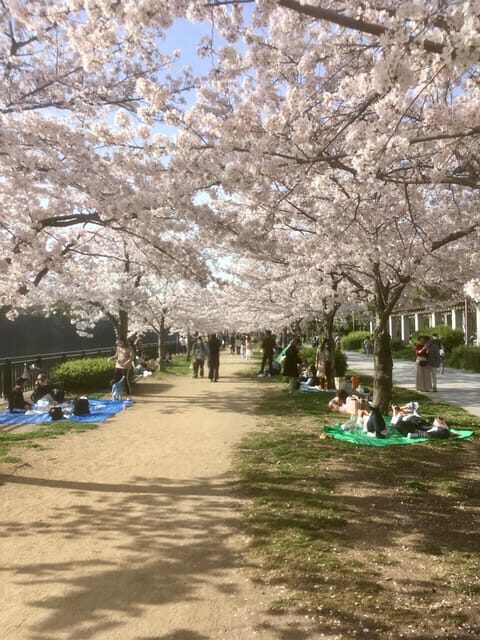 Osaka: Private and Fully Customized Tour with Hotel Meet Up - The Value of a Fully Custom Tour