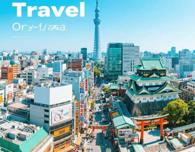 Osaka: Private Customizable Day Tour with Hotel Transfer - What You Can Expect from This Tour