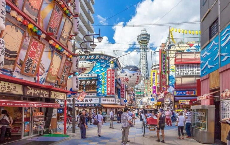 Osaka: Private Guided Tour with Guide and Vehicle - Key Points