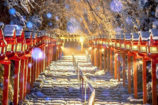 Osaka to Kyoto Arashiyama Bamboo Grove Small Group Tour - Who Will Love This Tour?