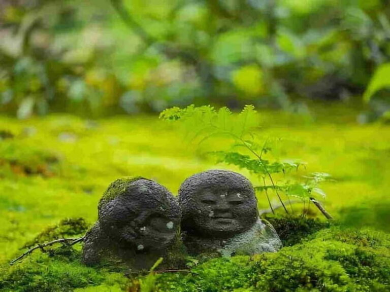Osaka to Kyoto: Arashiyama Bamboo Grove Small Group Tour - Who Will Love This Tour?