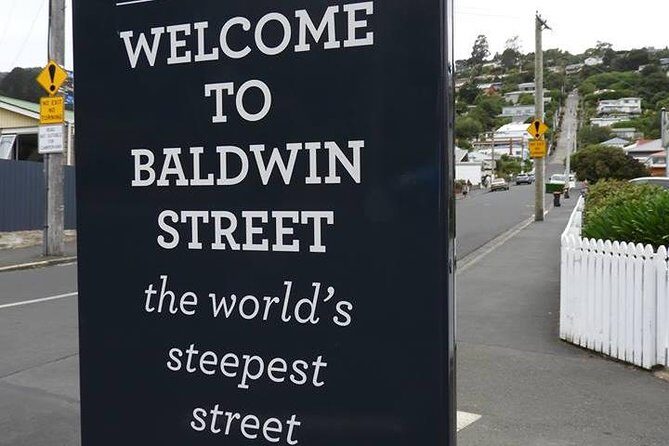 Otago Peninsula Scenery and Dunedin City Highlights Tour - The Practicalities: What’s Included and What Not