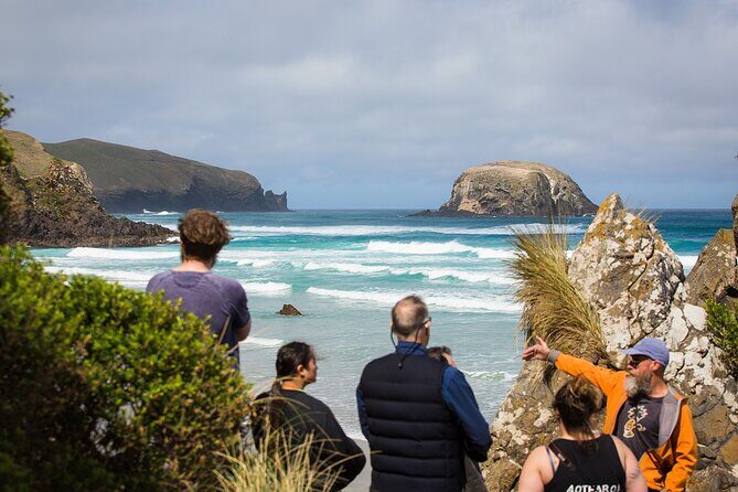 Otago Peninsula Wildlife Tour & Cruise - Final Thoughts: Is This Tour for You?