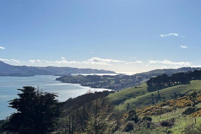 Otago Peninsula's Hidden Gems: A Self Guided Driving Tour - Who Will Enjoy This Tour?