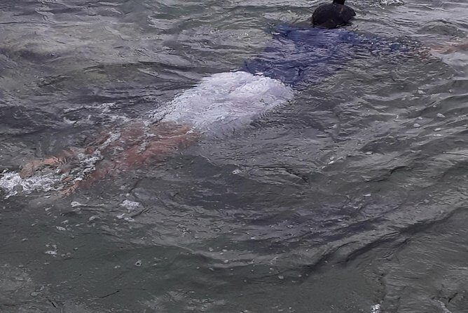 Other side of heaven Eco friendly snorkeling adventure - Authenticity and Value