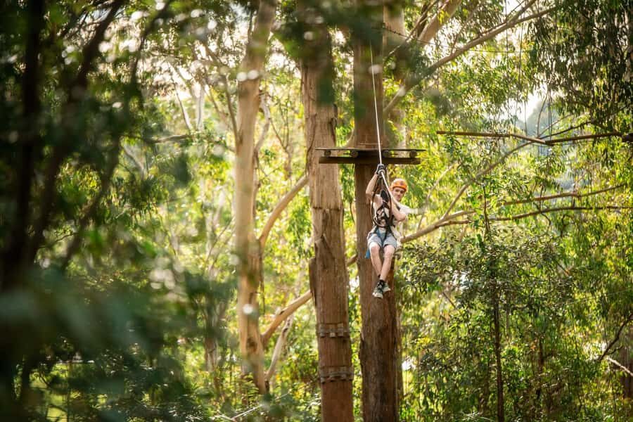 Ourimbah: Central Coast Treetops Adventure Tree Ropes Course - Practical Tips for Visitors