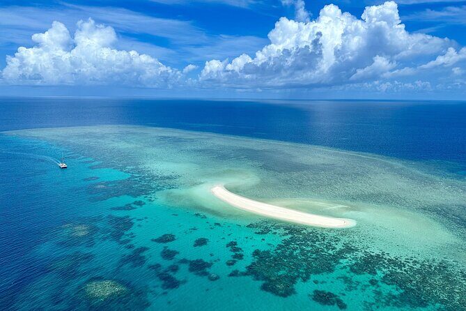 Outer Reef Mackay Cay Sail & Snorkel Adventure from Port Douglas - What Travelers Are Saying