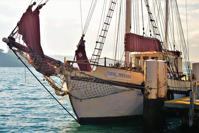 Overnight Harbour Cruise Experience - Who Is This Tour Best For?