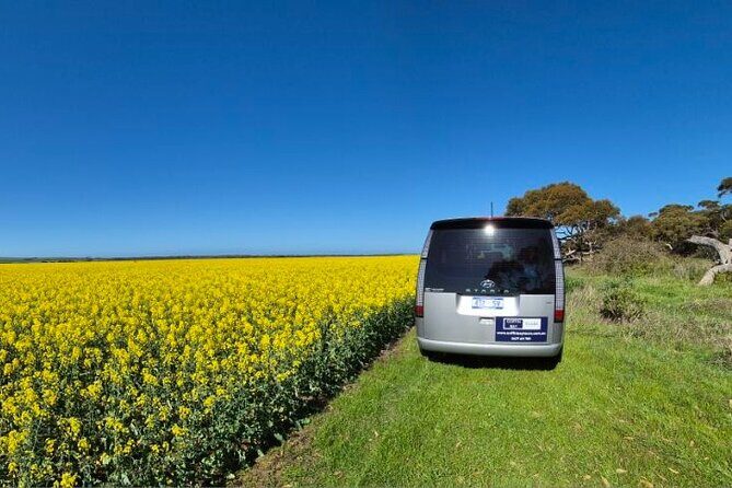 Oyster Adventure in Coffin Bay (Coffin Bay Pick Up) - Transportation, Group Size, and Price: Why It Matters
