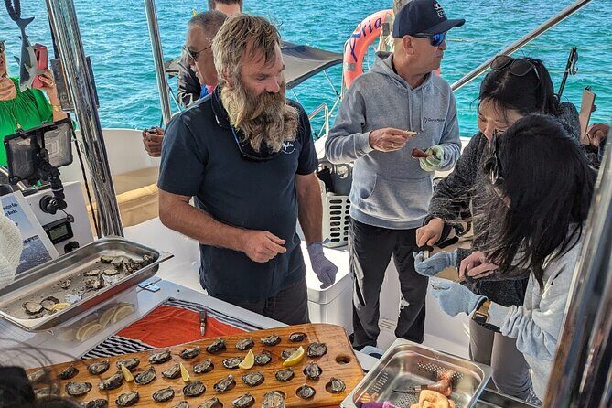 Oyster Farm Tour - Why It Works and Who It’s For
