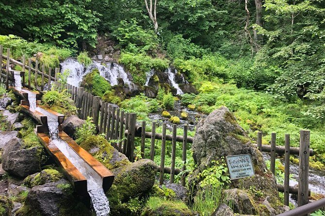 [Oysters in Suto] Let's go to Cape Kamui, Oyster Hut and Fukidashi Park by private car!To/from Sapporo - Analyzing the Value