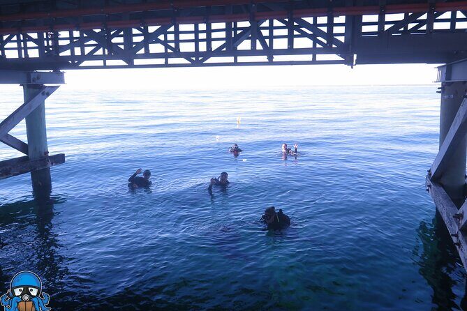 PADI Open Water Course - Practical FAQ