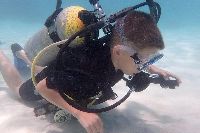 PADI Scuba Diver course for beginners Two days one night accommodation included - Is It Worth the Price?