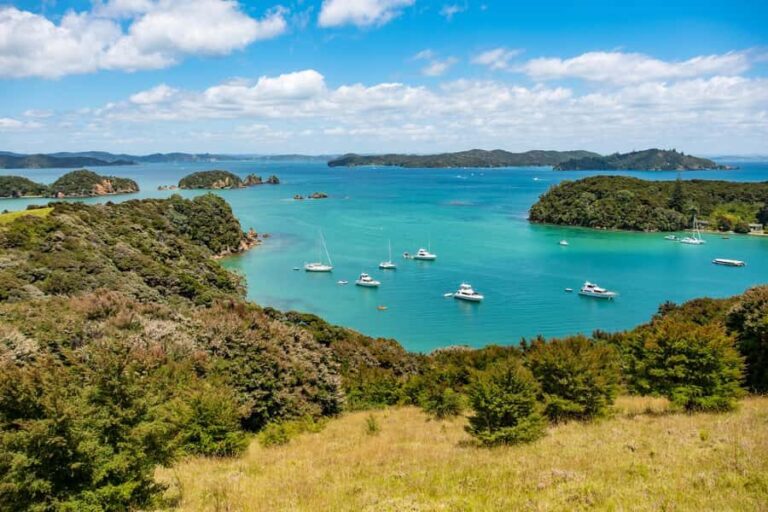 Paihia: Bay of Islands Dolphin Eco Cruise & Island Stopover - The Practicalities