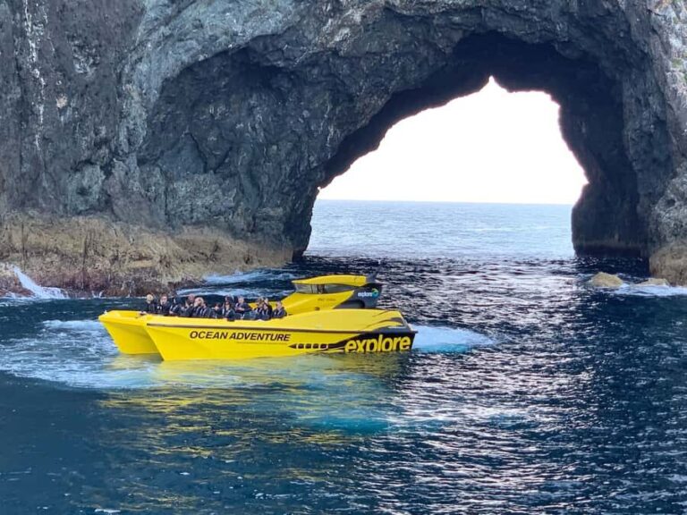 Paihia: Hole in the Rock Fast Boat with Island Stopover - Practical Details and Considerations