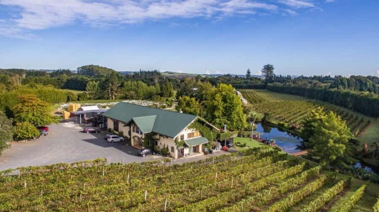 Paihia or Kerikeri: Wine, Spirit, & Craft Beer Tour - The Itinerary: How the Day Unfolds