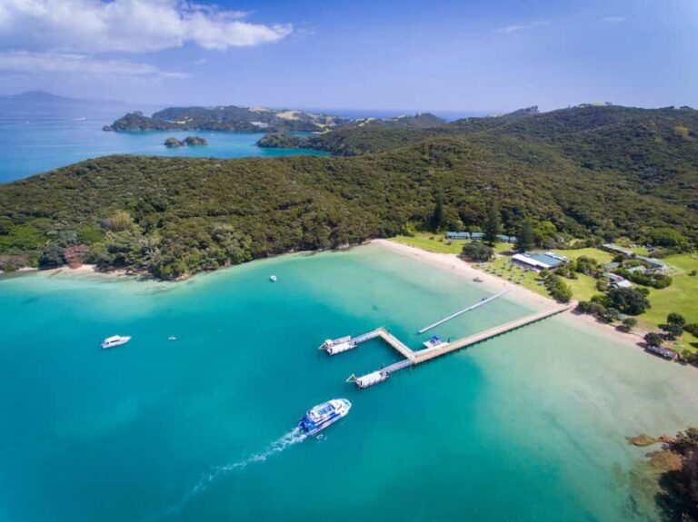 Paihia/Russell: Hole in the Rock, Dolphins & Island Cruise - Pricing and Value – Is It Worth It?