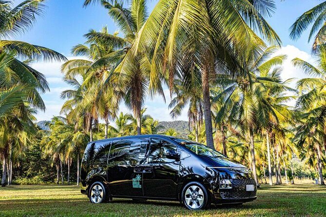 Palm Cove to Port Douglas ONE WAY Private Transfer 6 pax - Practical Considerations