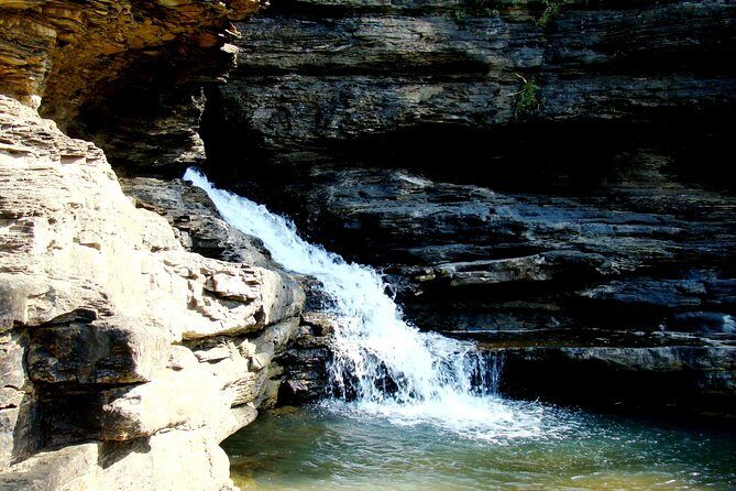 Panna Tiger Reserve Tour from Khajuraho - The Guides & Transportation