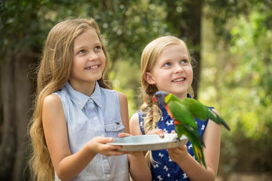 Paradise Country: Ultimate Aussie Farm Experience - What Does the Experience Mean for You?