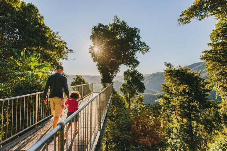 Paronella Park and Mamu Tropical Skywalk Ticket Combo - An In-Depth Look at the Tour Experience