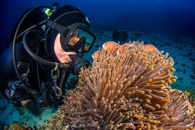 Passions of Paradise Great Barrier Reef Cruise by Catamaran - The Value of a Full-Day Reef Tour