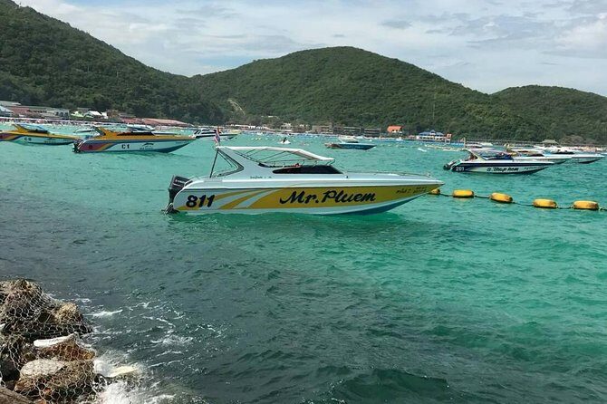 Pattaya : Coral Island Tour by Speedboat with Indian Lunch & Pick Up from Hotel - Food: Indian Vegetarian Buffet