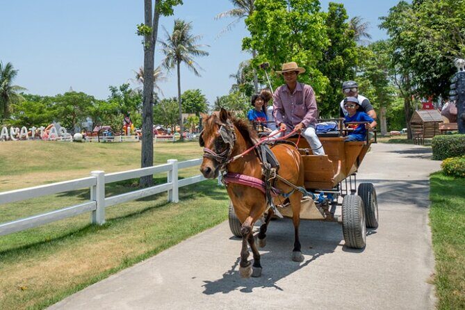 Pattaya sheep Farm Entrance Tickets - Practical Details and How to Make the Most of Your Visit