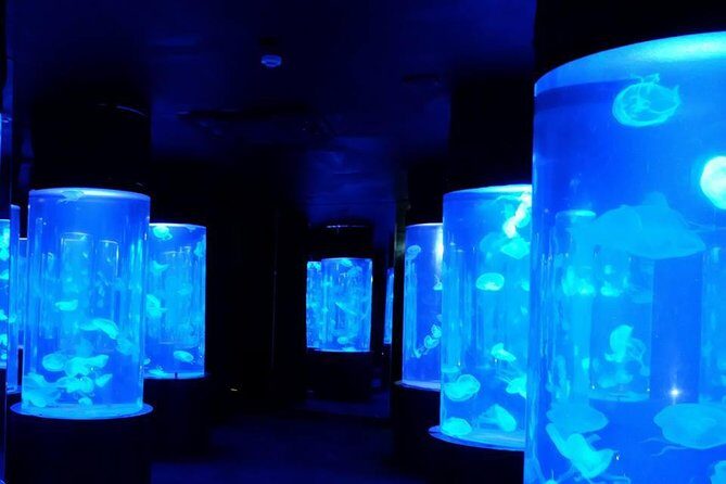 Pattaya Underwater World - Discover Ocean Treasures - Reviews & Authentic Perspectives