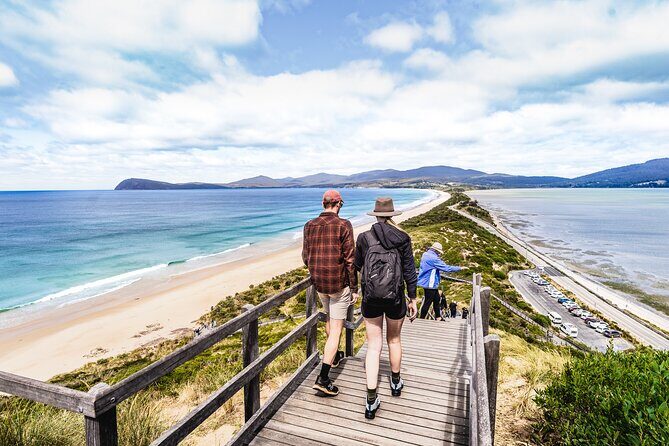 Peaks, Falls & Furry Locals: Mt. Field & the Derwent - Exploring the Details of the Tour