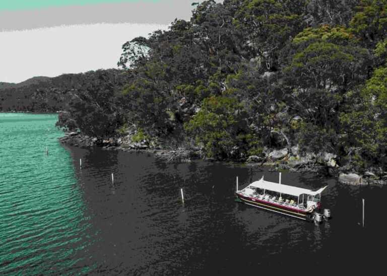 Pearl & Oyster Farm Hawkesbury River Cruise - The Experience in Detail
