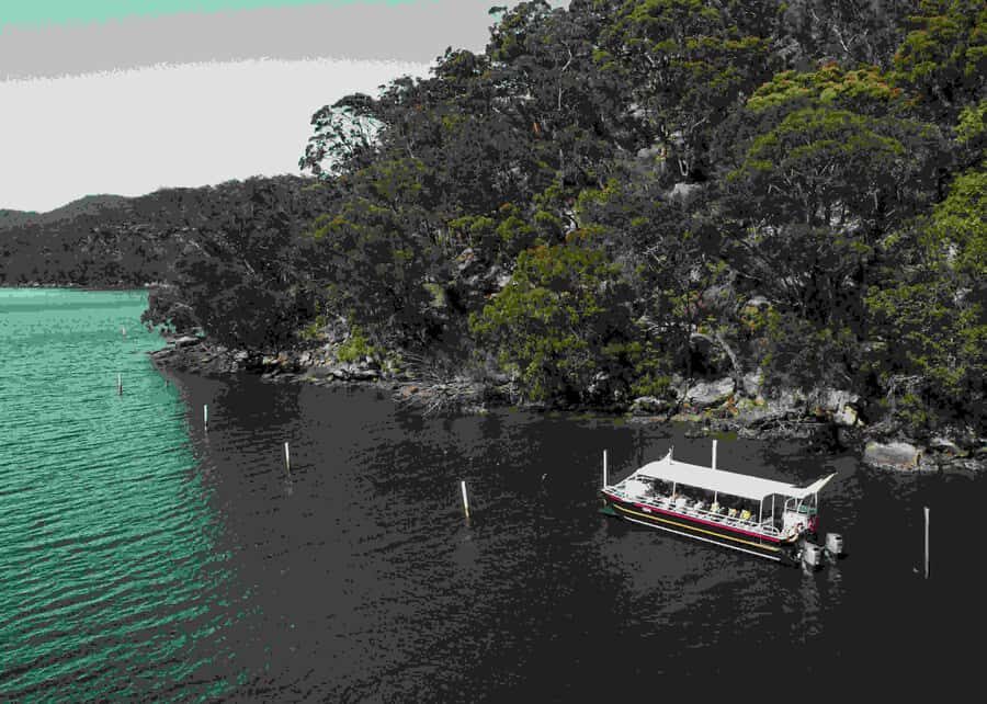 Pearl & Oyster Farm Hawkesbury River Cruise - The Experience in Detail