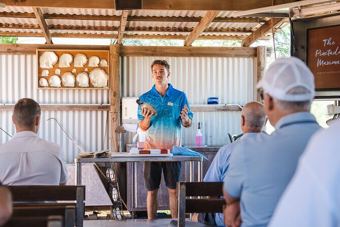 Pearls & Coast: 35-Min Heli Flight, Willie Creek Tour & Lunch - Willie Creek Pearl Farm: A Glimpse into Cultured Pearls