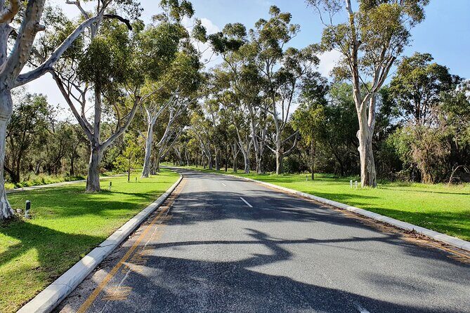 Pedals & Petals - Discovering Wildflowers Bike Tour Kings Park - Why You Should Consider This Tour