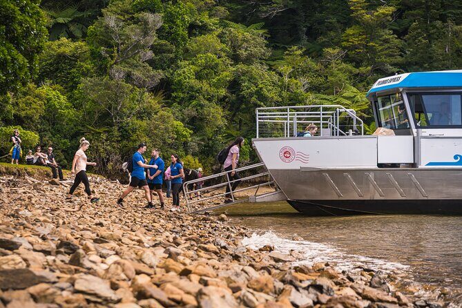 Pelorus Mail Boat Sunday Scenic Cruise  Full-Day from Havelock - Why This Tour Is a Great Choice