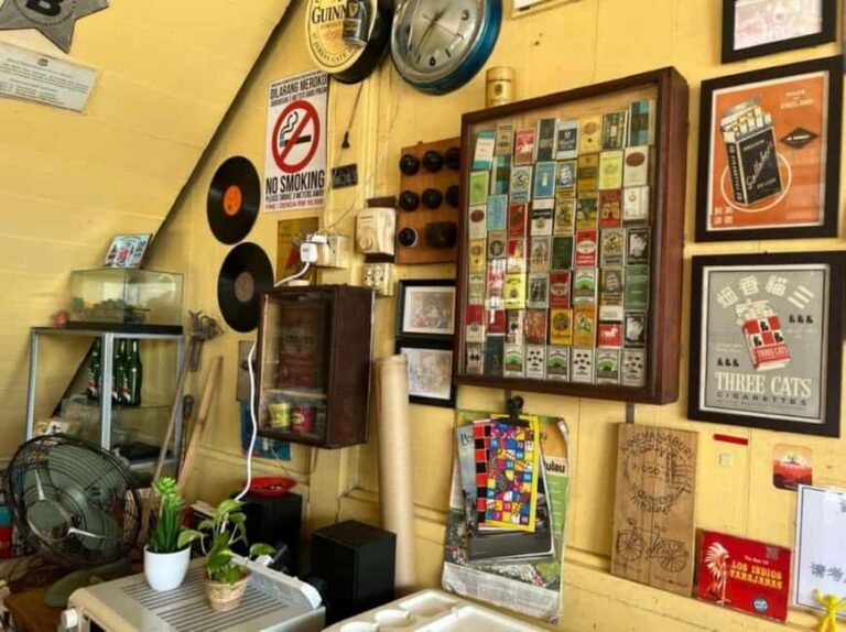 Penang: Balik Pulau Culture Experience & Village Tour - Why This Tour Stands Out